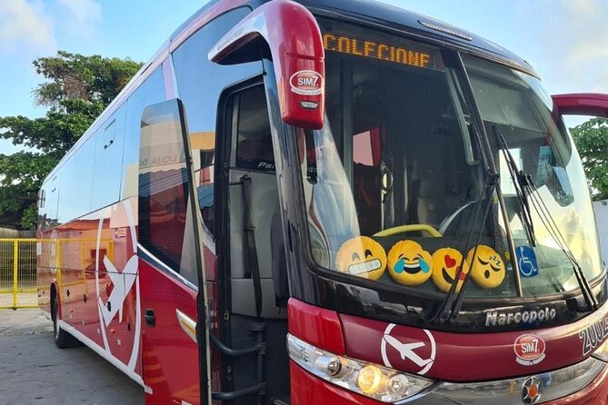 Transfer From Fortaleza to Jericoacoara - Wheelchair Accessibility and Infant Policy