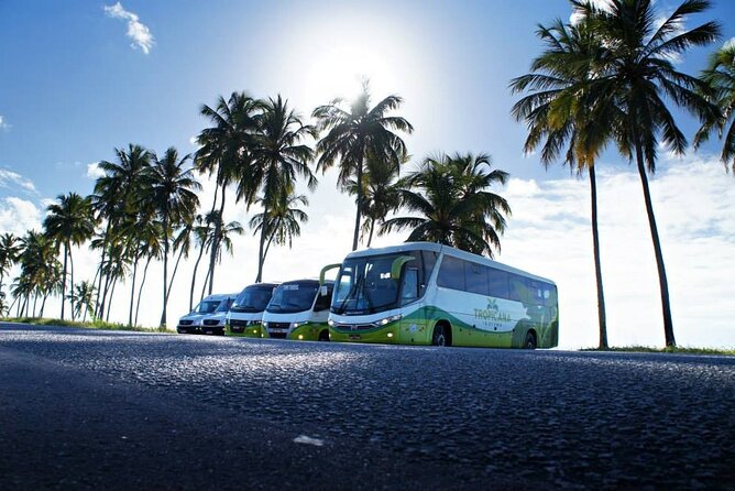 Transportation From Recife International Airport to Maragogi - Transportation Cost and Duration
