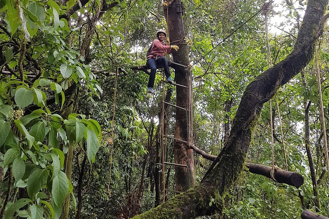 Tree Top Adventure - Included Equipment