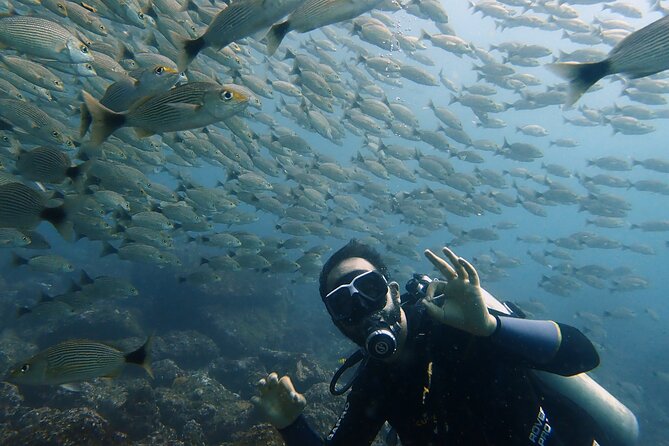 Try Scuba Diving / Basic Diver - Tour Details and Inclusions