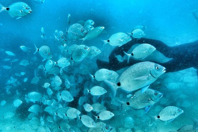 Try Scuba Diving in Mossel Bay - Meeting Point and Pickup Details