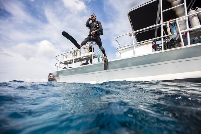Two Dive Tour Las Catalinas Islands - Good To Know