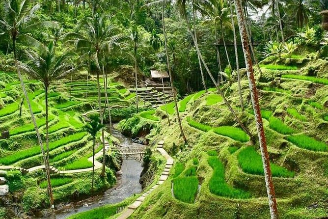 Ubud Batur Volcano Tirta Empul Waterfall Private Guided Tour - Areas Covered