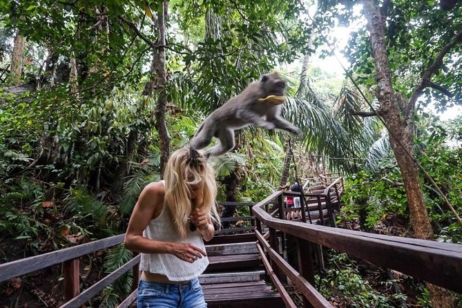Ubud Cultural Tour - Highlights of the Tour