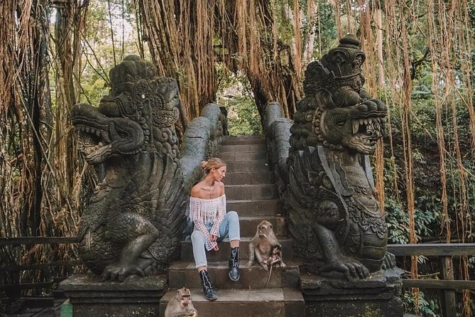 Ubud Private Day Trip (Transport Only) - Hotel Pickup and Drop-off