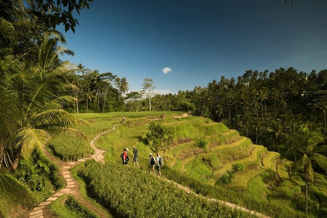 Ubud Rafting - Rice Terrace - Tegenungan Waterfall - Tanah Lot Sunset Temple - Captivating Rice Terraces