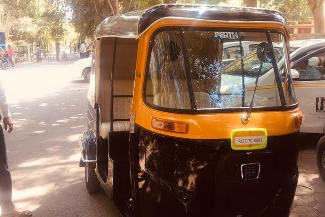 Udaipur Half Day City Tour by Tuk Tuk - Tuk Tuk Experience