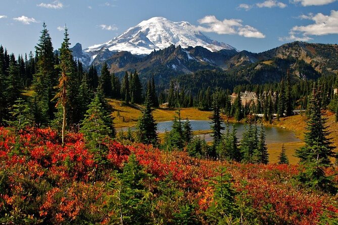 Ultimate Mount Rainier NP Self-Guided Driving Audio Tour - Meeting and Pickup Details