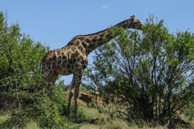 Ultimatee Bloemfontein & Botanical Garden Tour - Tour Itinerary