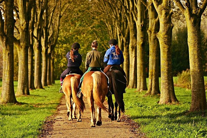 Umbria - Horse Riding Through The Wonderful Valleys Of Umbria, Lunch Included - Itinerary Details