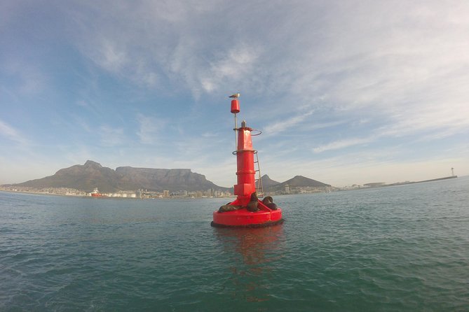 V&A Waterfront Marine Big 5 Ocean Safari - Additional Information