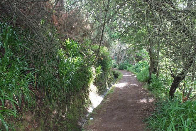 Vale Paraíso - Rochão (Half Day Walk) - Highlights of the Half Day Walk