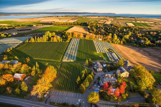 Valley Wine Tour - Hassle-free Wine-tasting Tours
