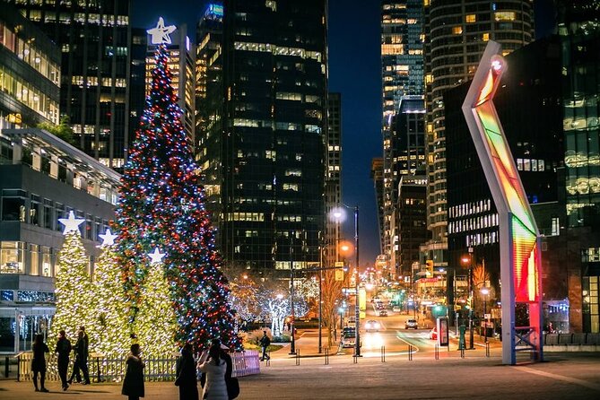 Vancouver Christmas Light Tour Private - Tour Inclusions