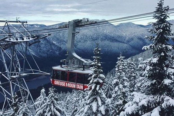 Vancouver Perfect Day Tour Grouse Mountain& Capilano Suspention Bridge Private - Tour Highlights