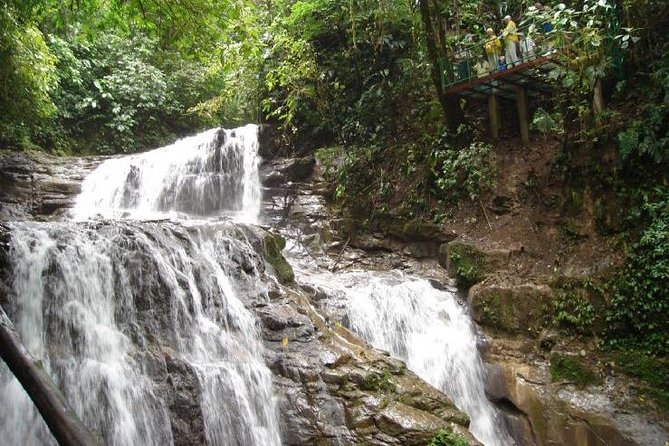 Veragua Rainforest Eco-Adventure & Aerial Tram & Tortuguero Canal - Meeting and Pickup Information