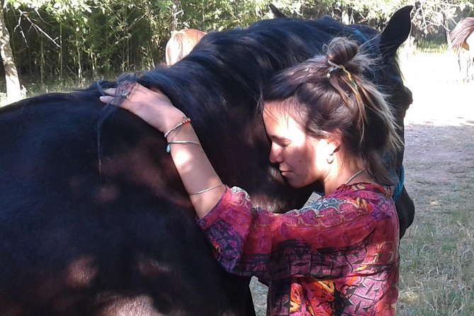 Vibrate Your Horse Heart - Healing With Horses - Benefits of Connecting With Horses