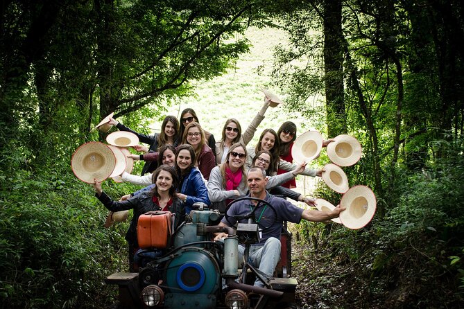 Visitors Delight in Flores Da Cunha Carriage Ride - Inclusions