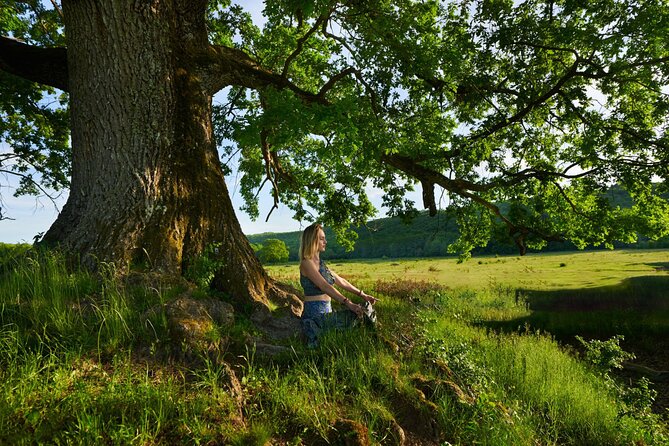 Walk And Meditative Yoga Session In Nature Under Cork Trees - Good To Know