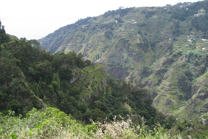 Walking Experience in the Serra DÁgua Valley - What to Expect on the Walking Tour