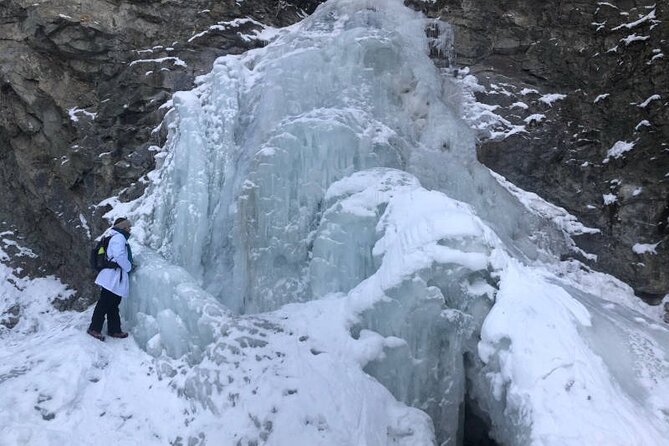 Walking Tour in Star Creek Falls With Science Activities - Tour Duration and Admission