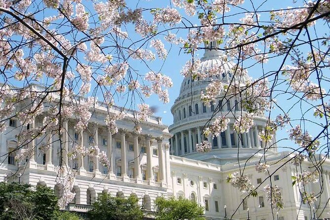 Washington Cherry Blossoms Guided Bus Tour - Hotel Accommodation and Cancellation Policy