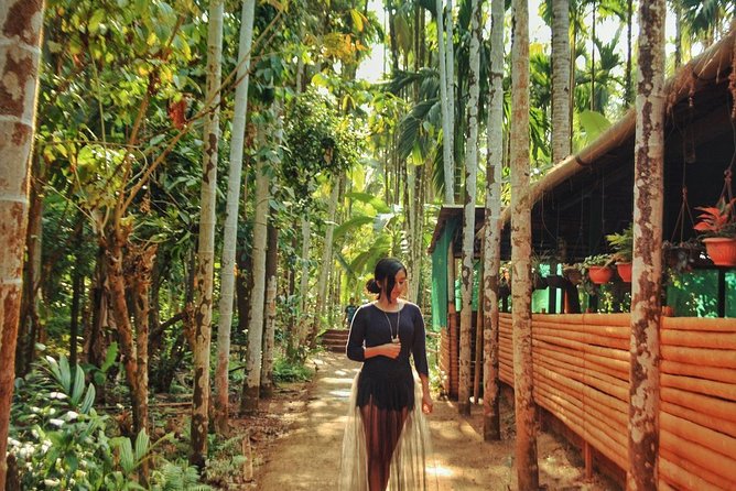 Waterfall & Plantation - Reviews and Testimonials