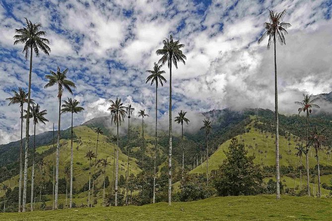 Wax Palms, Salento and Coffee Private Full Day Tour - Pricing and Booking Details