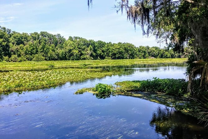 Wekiva Wildlife Kayaking Adventure Tour - Tour Inclusions
