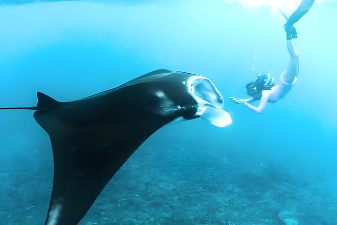 West Penida Island Private Day Tour With Lunch and Snorkeling  - Kuta - Tour Itinerary and Inclusions