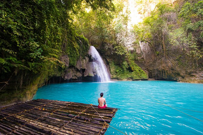 Whale Shark Encounter and Kawasan Falls Canyoneering With Lunch - Itinerary Overview