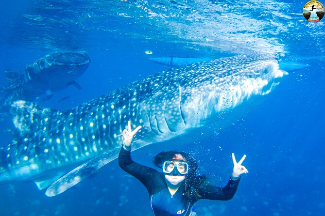 Whale Shark Swimming, Tumalog Falls and Kawasan Canyoneering - Tumalog Falls Exploration