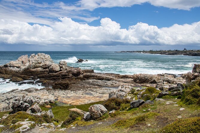 Whale Wonders: Majestic Marine Adventures in Hermanus - Good To Know