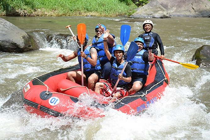 White Water Rafting Ubud Bali With Hotel Transfer - Overview of the Experience