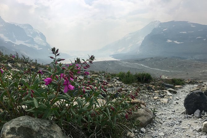 Wilcox Pass - Inclusions and Meeting Details