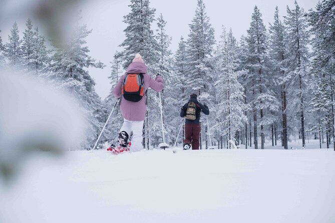 Wilderness Snowshoe Adventure - Minivan Ride Into the Arctic Wilderness