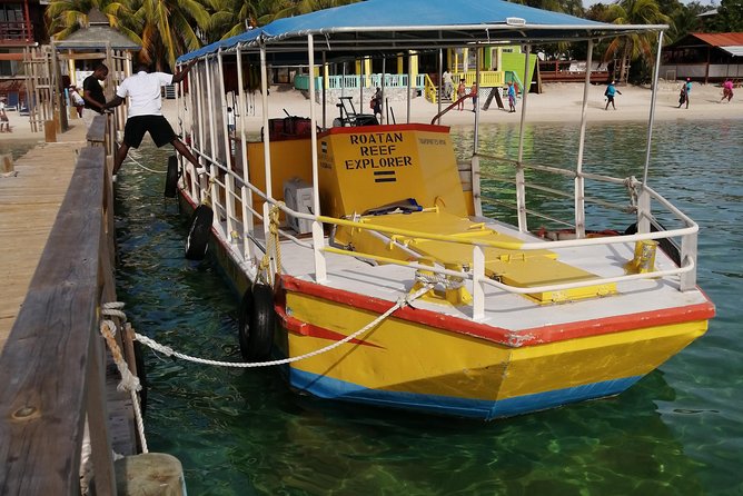 Wildlife Adventure: Glass-Bottom Boat and Chocolate Factory - Reviews and Feedback