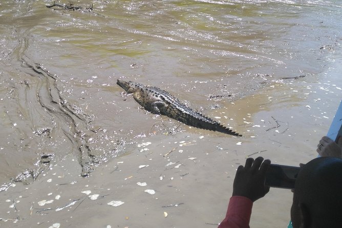 Wildlife River Boat Safari & Cultural Experience. - Booking Details and Pricing