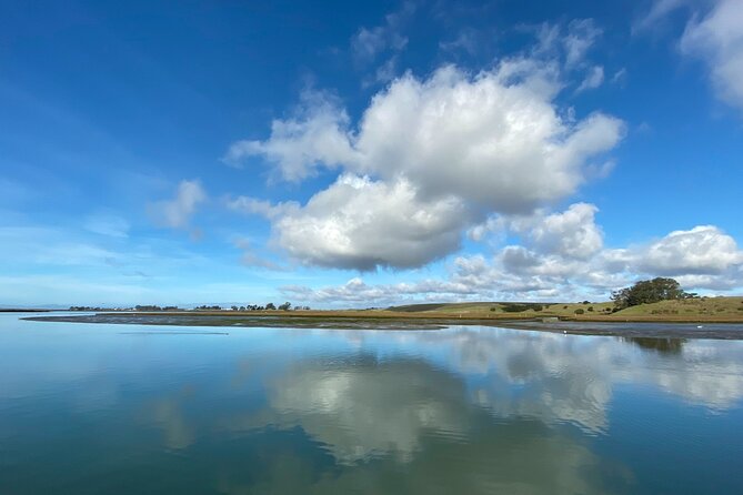 Wildlife Safari Boat Tour in Scenic Monterey Bay Wetland - Meeting Point and Check-in Process