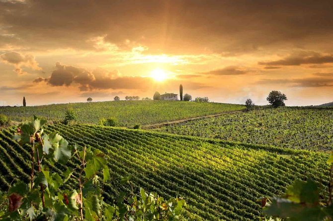 Wine and Cheese Tastings Southern Tuscany Shoreexcursion From Civitavecchia Port - Tour Information