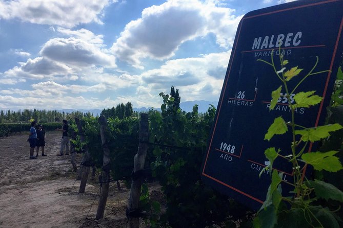 Wine, Beer and Spirits Tour in Small Groups - Inclusions and Logistics