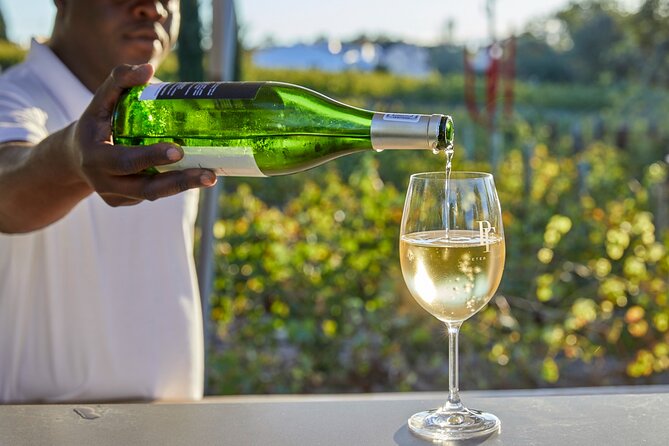 Wine & Cheese Tasting Private Tour in African Safari at Aquila - Itinerary