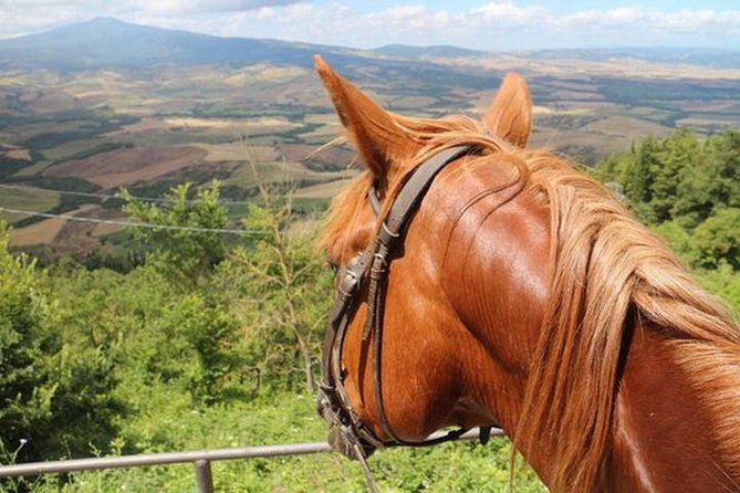 Wine Tasting and Horseback Riding in Montepulciano, in Tuscany From Rome - Pricing and Reservations