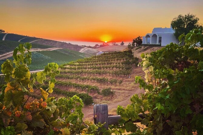 Wine Tasting Audio Tour - Paso Robles CA - Cancellation Policy Details