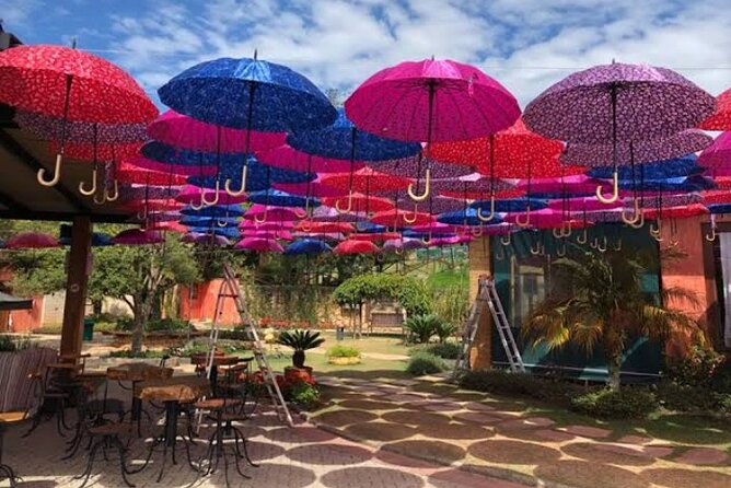Wine Tour in São Roque by Car - Tour With Local Guides - Booking Process Steps