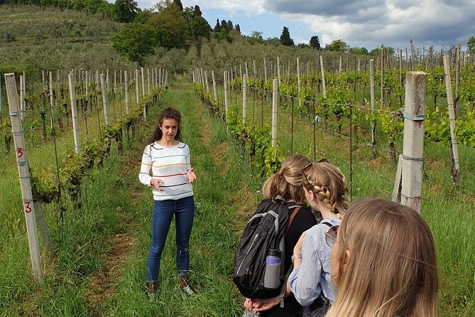 Wine Tour of Two Historical Wine Estates on the Hills of Florence - Historical Wine Estates Overview