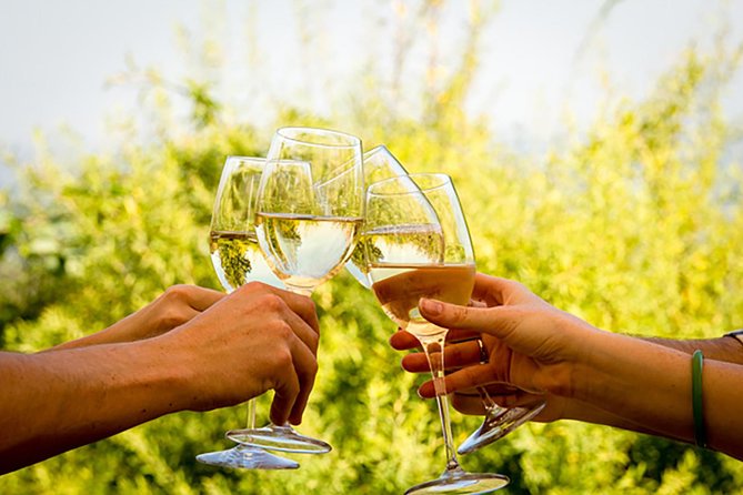 Wine Tour: Paarl, Franschhoek & Stellenbosch Incl 3 Wineries - Wine Tour Highlights
