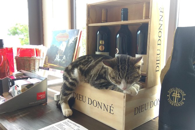Wine Tour to Stellenbosch & Franschhoek • Incl Tastings & Lunch - Cellar Tours and Tastings