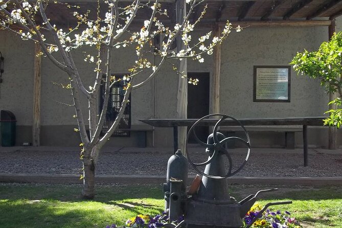 Wine Tour With Lunch and Transport in Mendoza - Customer Experiences