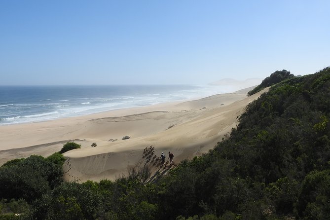 Woody Cape Dune Fields and Canopy Forest Walk - HD08 - Exploring the Woody Cape Dune Fields